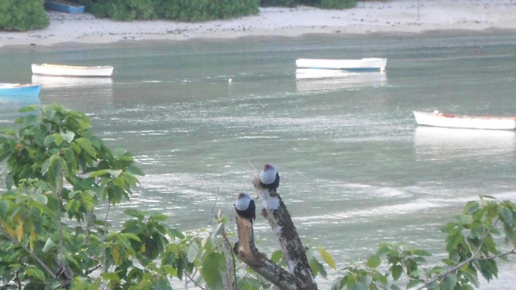 Bayview Villas Seychelles Anse Boileau ภายนอก รูปภาพ
